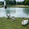 adriannasalas